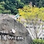 Sounkyo Onsen Choyo Resort Hotel