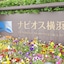 Navios Yokohama