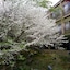 Nikko Hoshinoyado