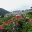 Hotel Koryu