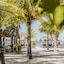 Zomay Beachfront Hotel Holbox