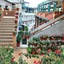 Hotel Shiva Continental