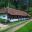 The Tamara Coorg