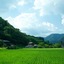 Miyama Futon & Breakfast Thatched Cottages