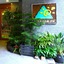 Wellness Forest Ito