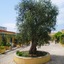 Racar Hotel & Resort