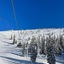 The Pine Lodge On Whitefish River, Ascend Hotel Collection