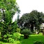 Trung Nguyen Coffee Resort