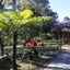 Cedar Creek Lodges