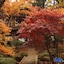 Yumoto Takubokutei