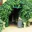 Yalcin Hotel Resort