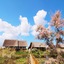 Green Village Resort