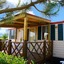 Camp Dole