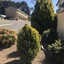 Hideaway Motor Inn Armidale