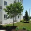 Motel 6 Kingston
