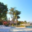 Royal Palm Resort