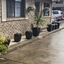 Marriott Park Motel
