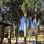 Pousada Villabella Villaggio