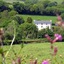 Plantation House Hotel