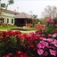 Villa De Bua Resort At Nan