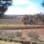 Patly Hill Farm