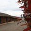 Isis Motel Scone