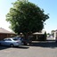 Shannon Motor Inn