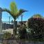 Shady Rest Motel