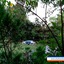 Shaheen Bagh - A Luxury Resort & Spa
