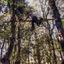 Aamod Resort - Shoghi