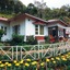 Olivebrook