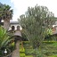 Stipp Hotel Gisenyi