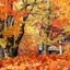 Kyukamura Shikotsuko