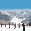 Hotel Harvest Skijam Katsuyama