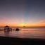Pulchra - Philippines