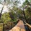 Thornybush Game Lodge