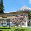 Pension und Appartements Hartkaiser