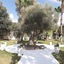 El Yam Luxury Resort