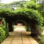Octagon Lodge