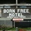 Born Free Suites By The Sea
