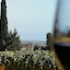 Villa La Lumia B&B Suites & Apartments