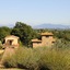 Agriturismo Poggio Alle Lame