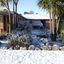 Snowdream Motel
