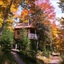 Les Chalets Du Trappeur