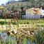 Naturena