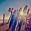 Cerritos Surf Town Beach Front Hotel And Spa