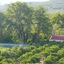 Stefanos Garden