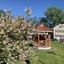Eagle Wing Inn - Cape Cod