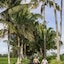 Wapa Di Ume Ubud
