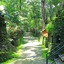 Blue Ginger Resorts